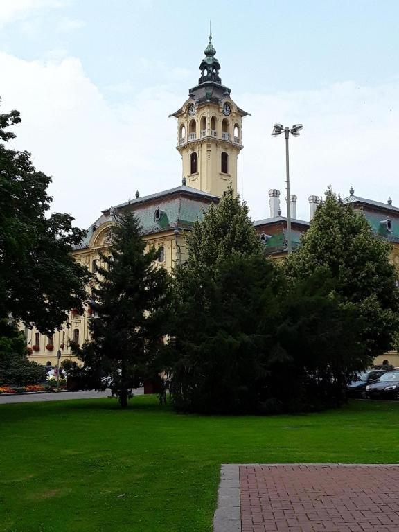 Homestay Tomka Szeged
